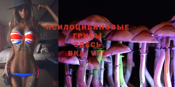 мдпв Новодвинск