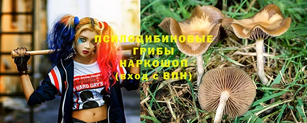 ешки Новозыбков