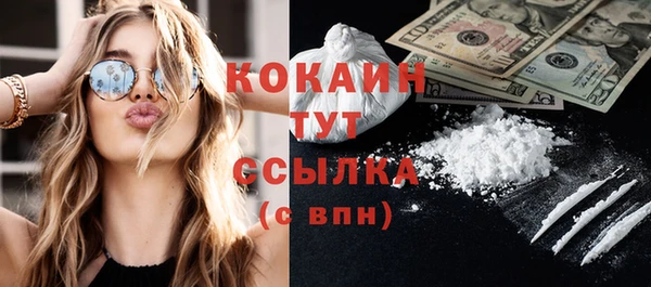 крисы Новокубанск