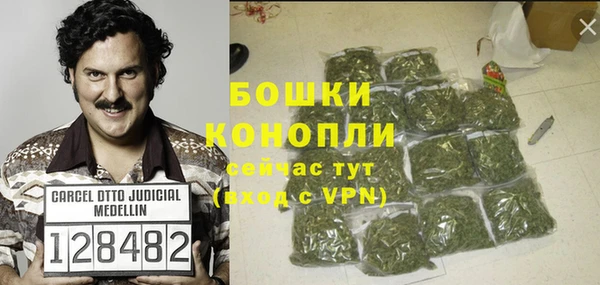 крисы Новокубанск
