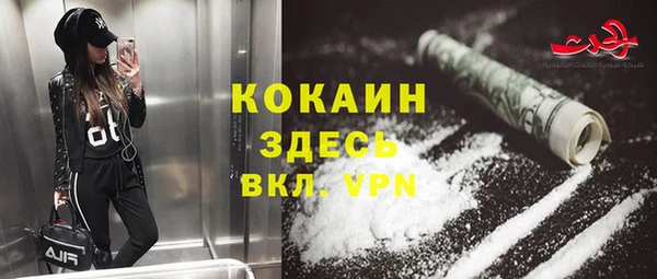 крисы Новокубанск