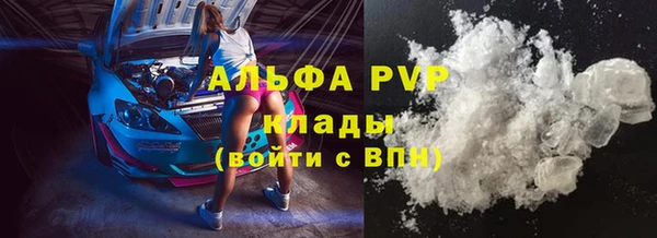 крисы Новокубанск
