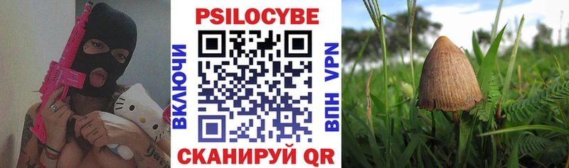 цена   kraken ССЫЛКА  Псилоцибиновые грибы Cubensis  Малаховка 